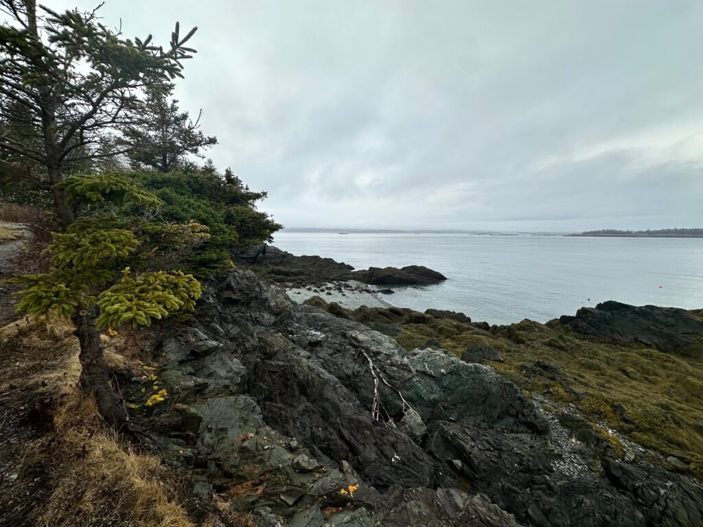 77789FA3-9116-4B72-8F24-51DE23DA134F